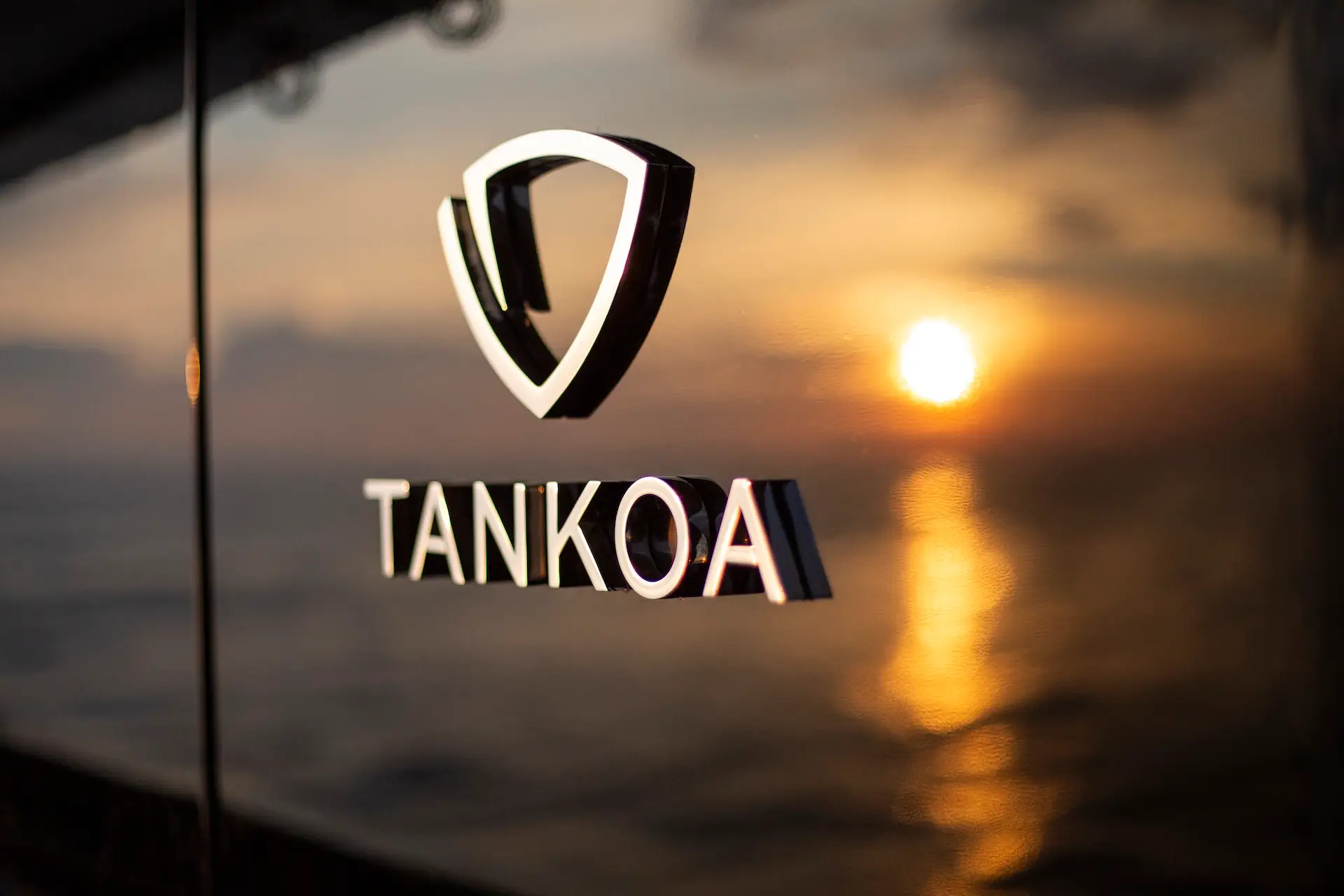 Tankoa logo detail