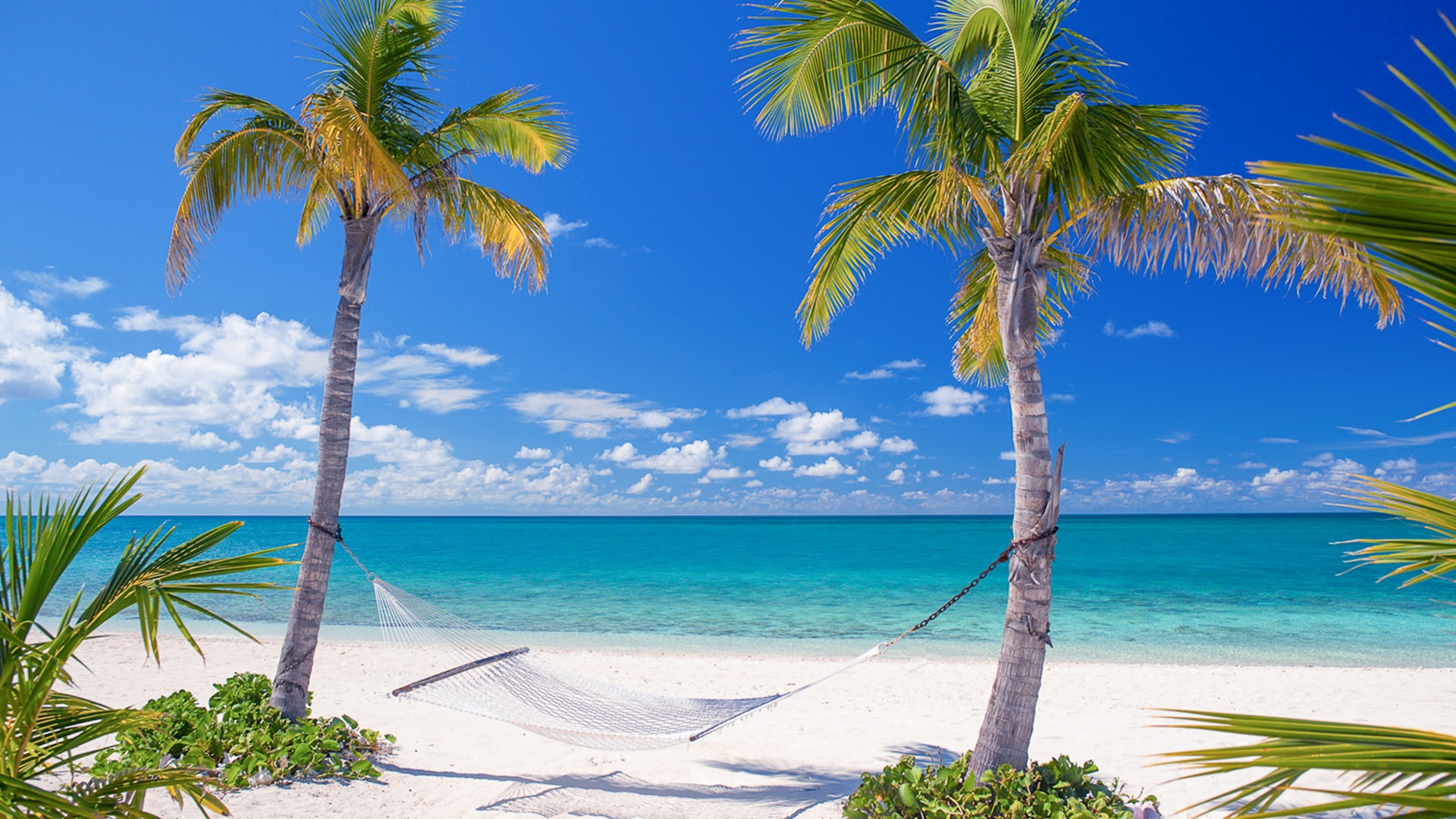 Playa paradisíaca de Eleuthera con palmeras