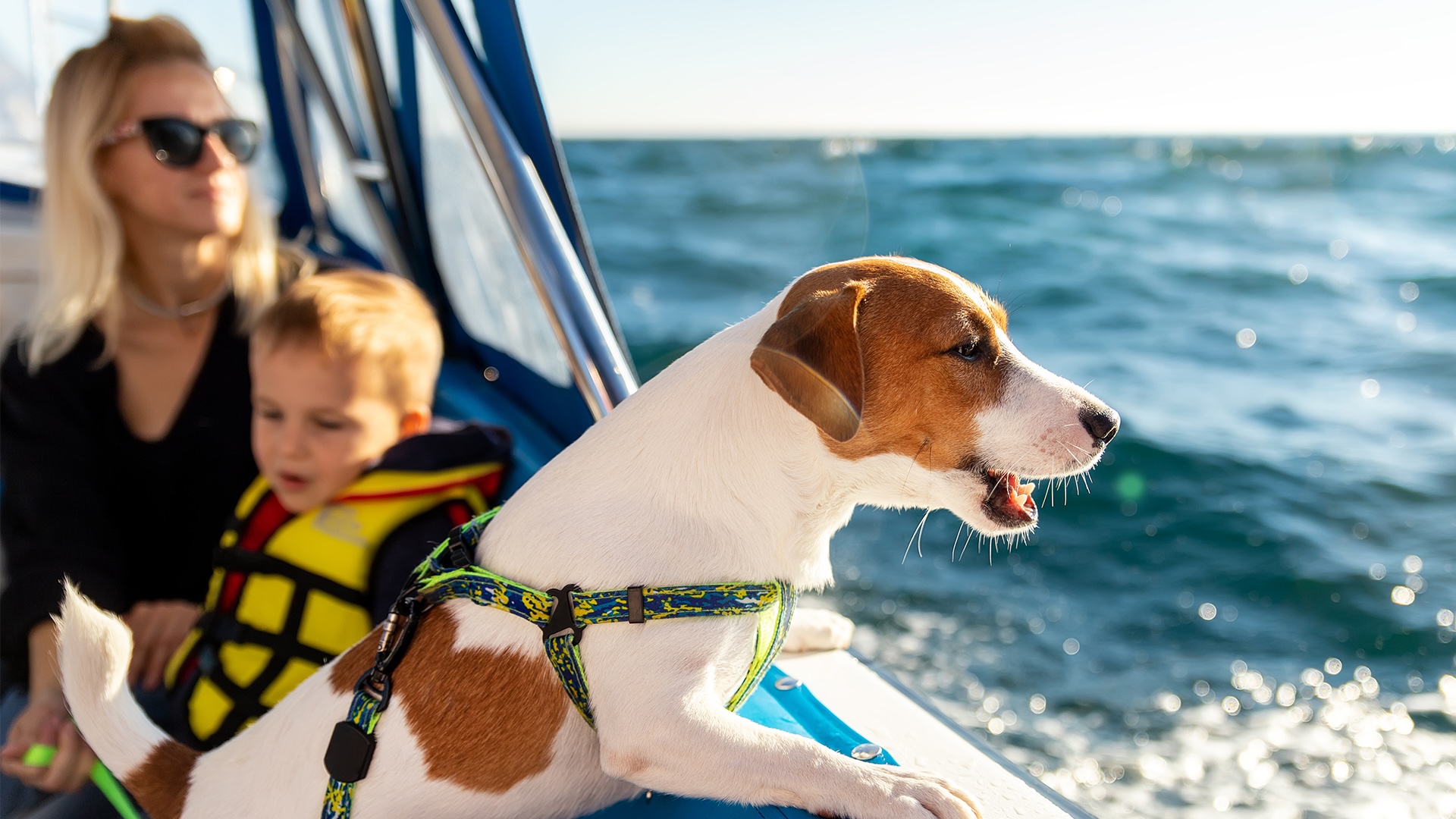 Un perro parado sobre el asiento de una lancha, una madre con su hijo detrás, la embarcación en movimiento