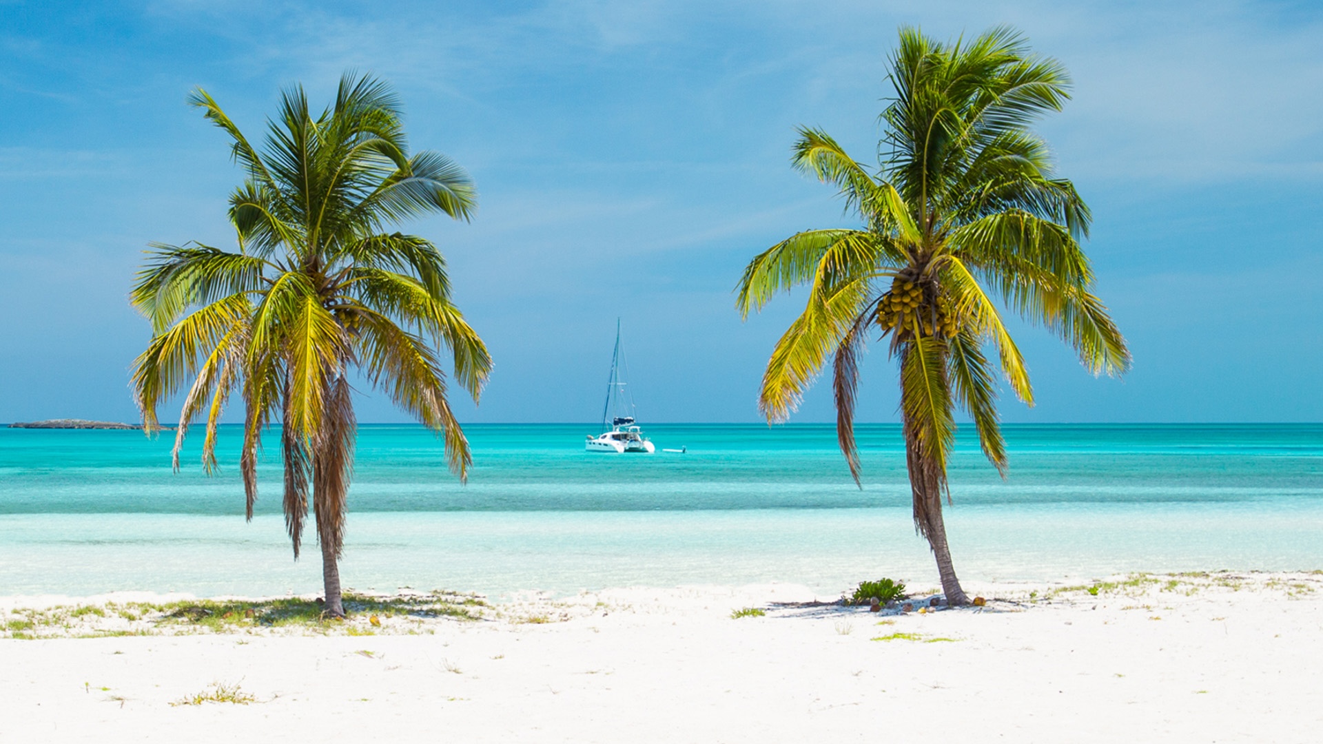 A view from a white sand beach in the Berry Islands, framed by two palm trees with a large catamaran anchored offshore