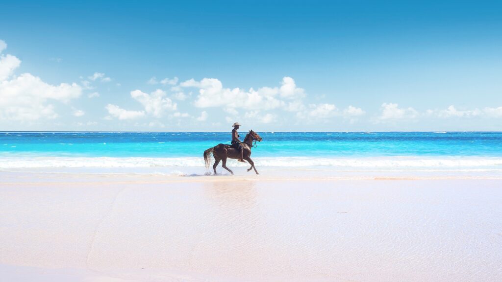 4 Eleuthera