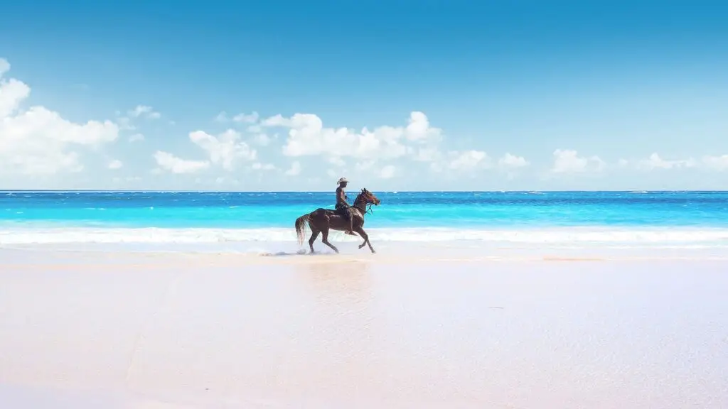 4 Eleuthera