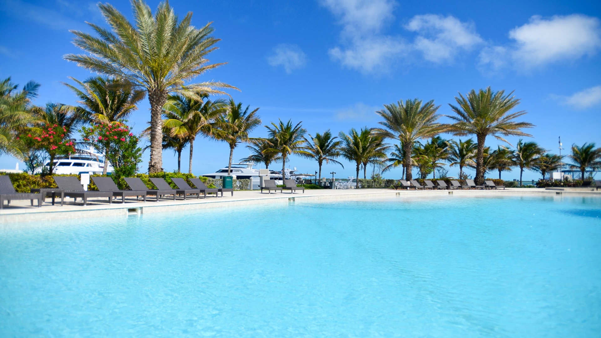 The large freshwater pool of a Bimini marina resort, set against the harbour