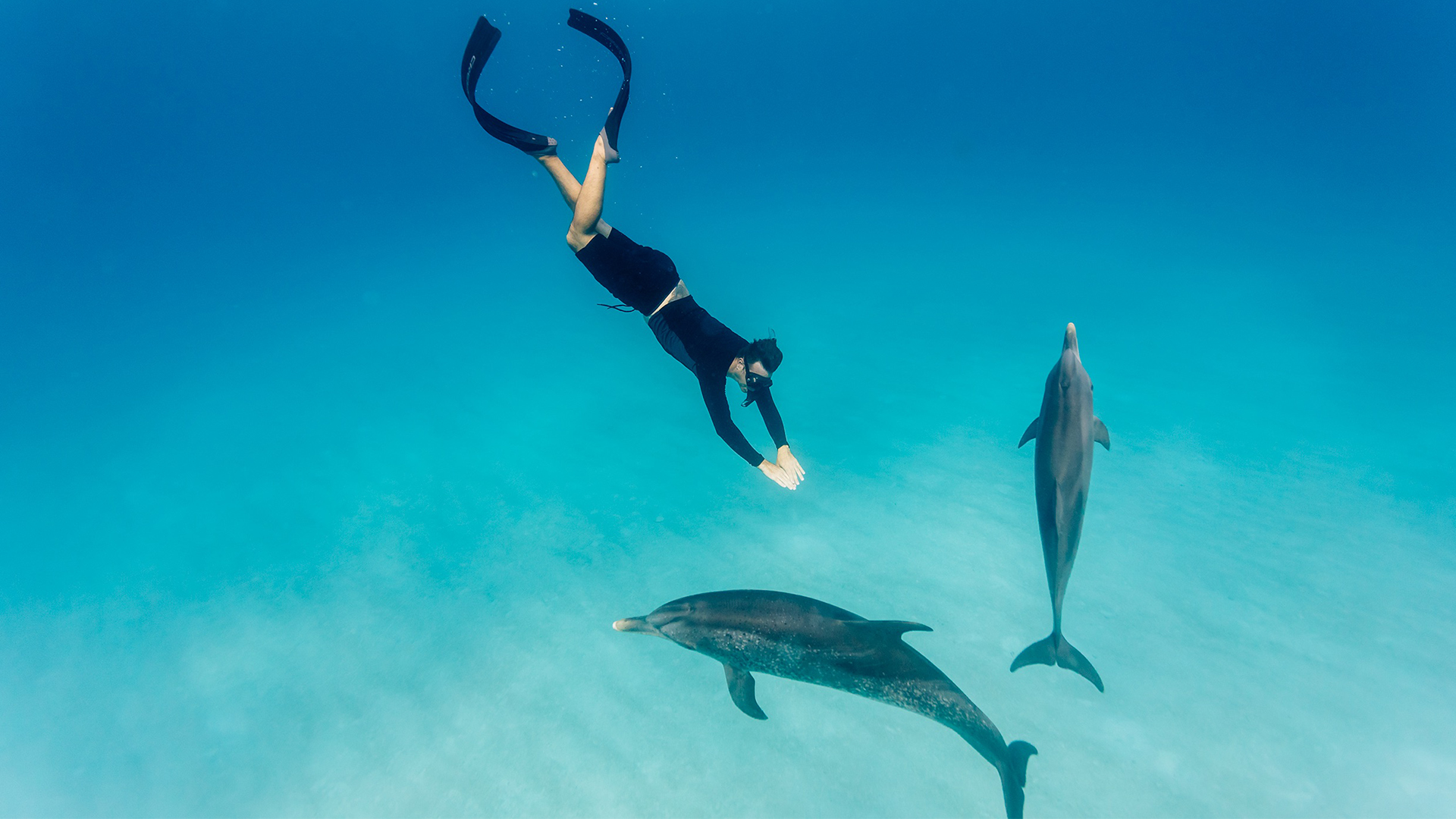 A swimmer underwater alongside two wild dolphins in clear Bahamian water
