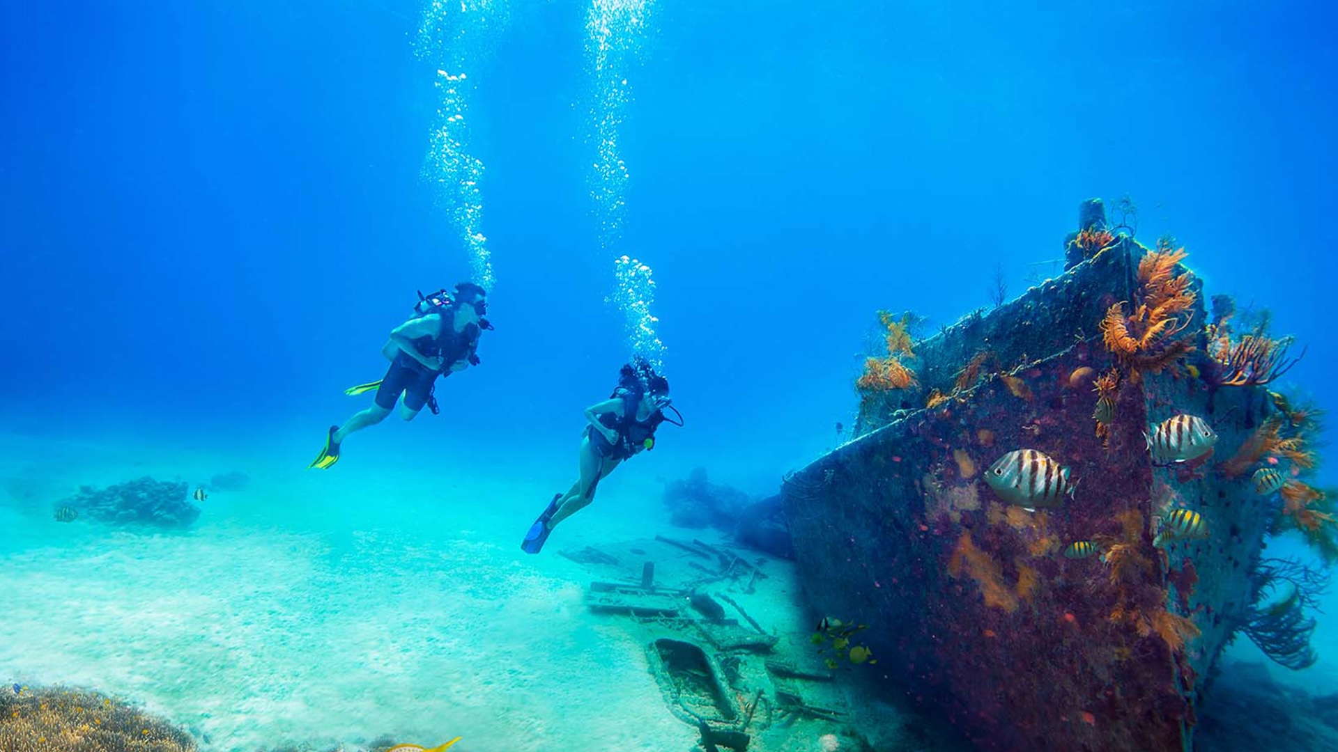 Buzo explorando un barco hundido cerca de Nassau