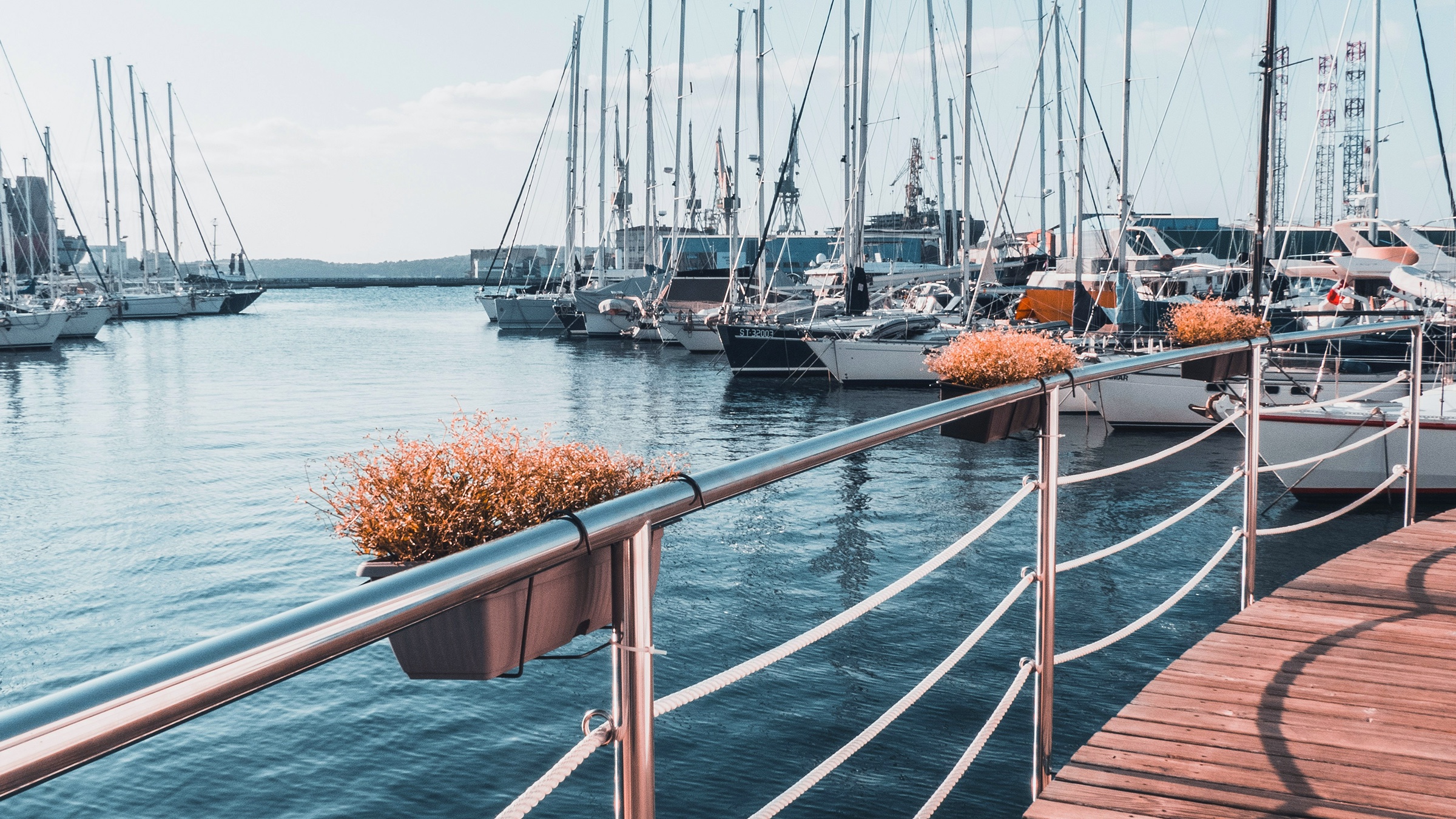 View from a marina deck across many moored sailboats