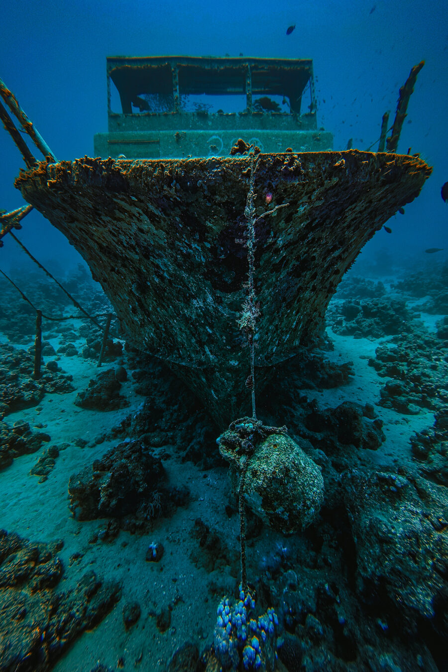 A shipwreck on the reef, lit from the surface