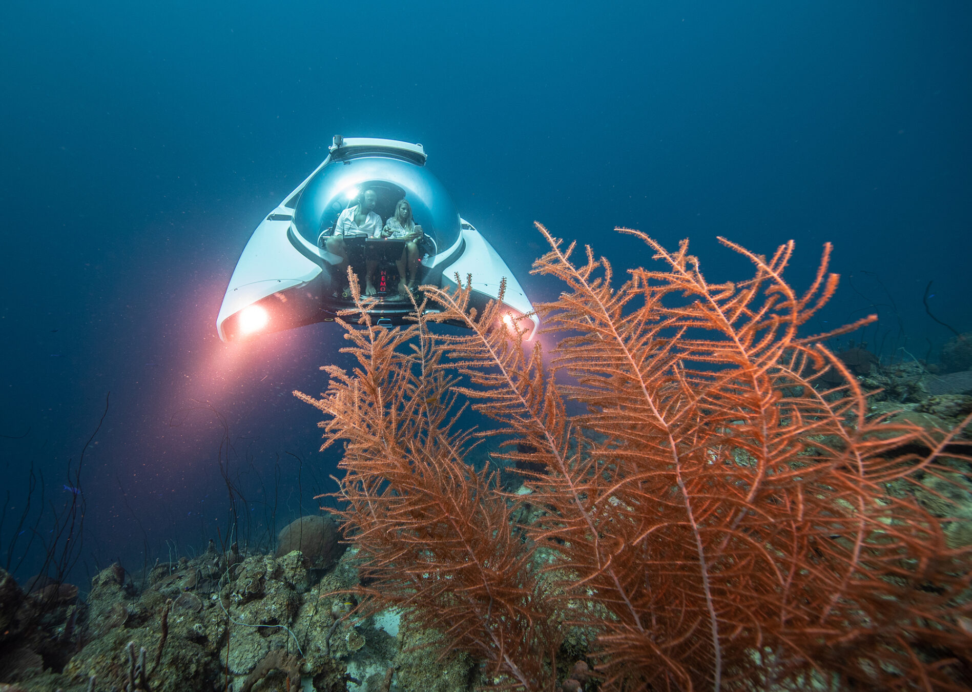 NEMO 2 beside a coral