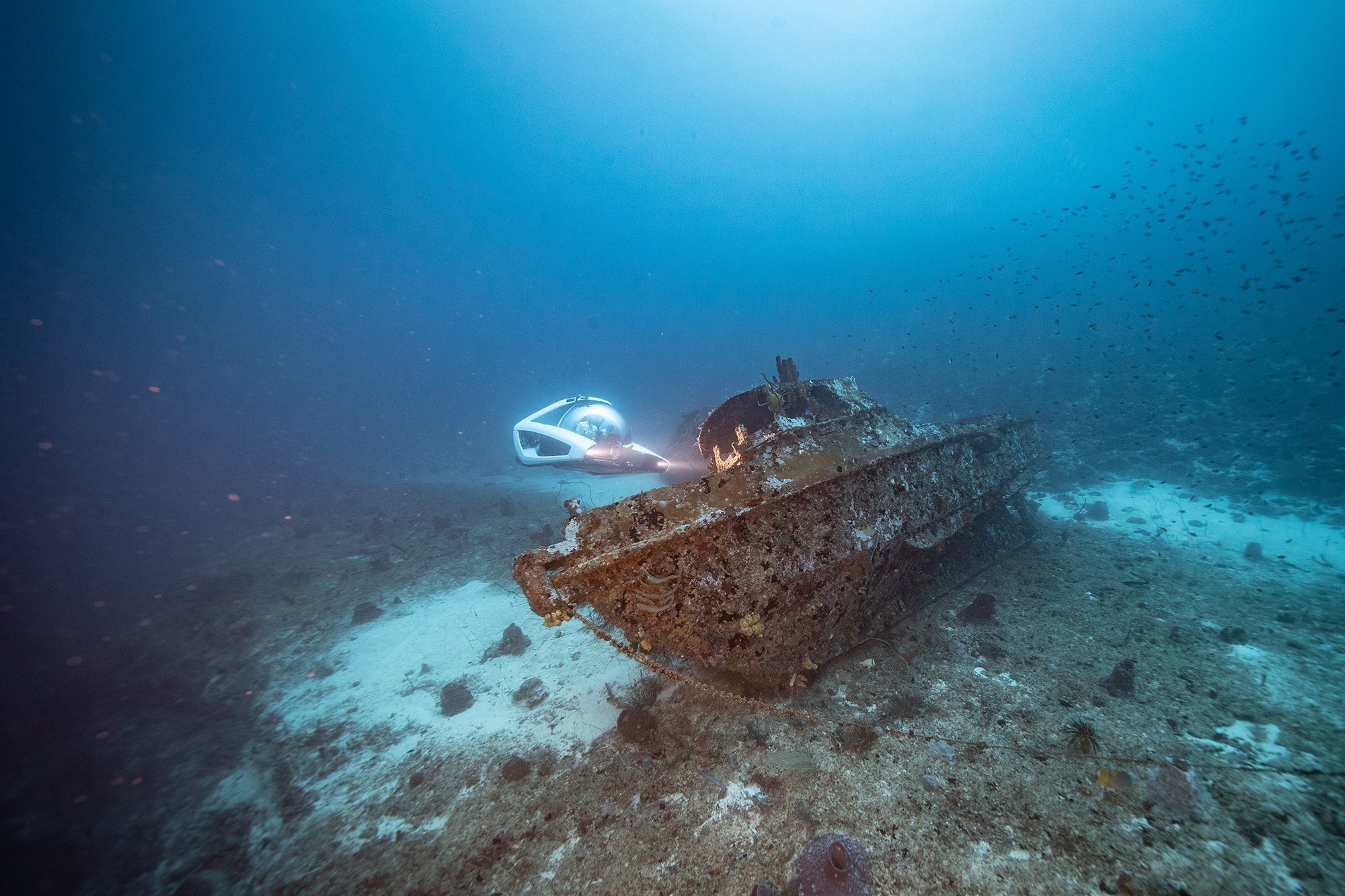 NEMO 2 by a wreck