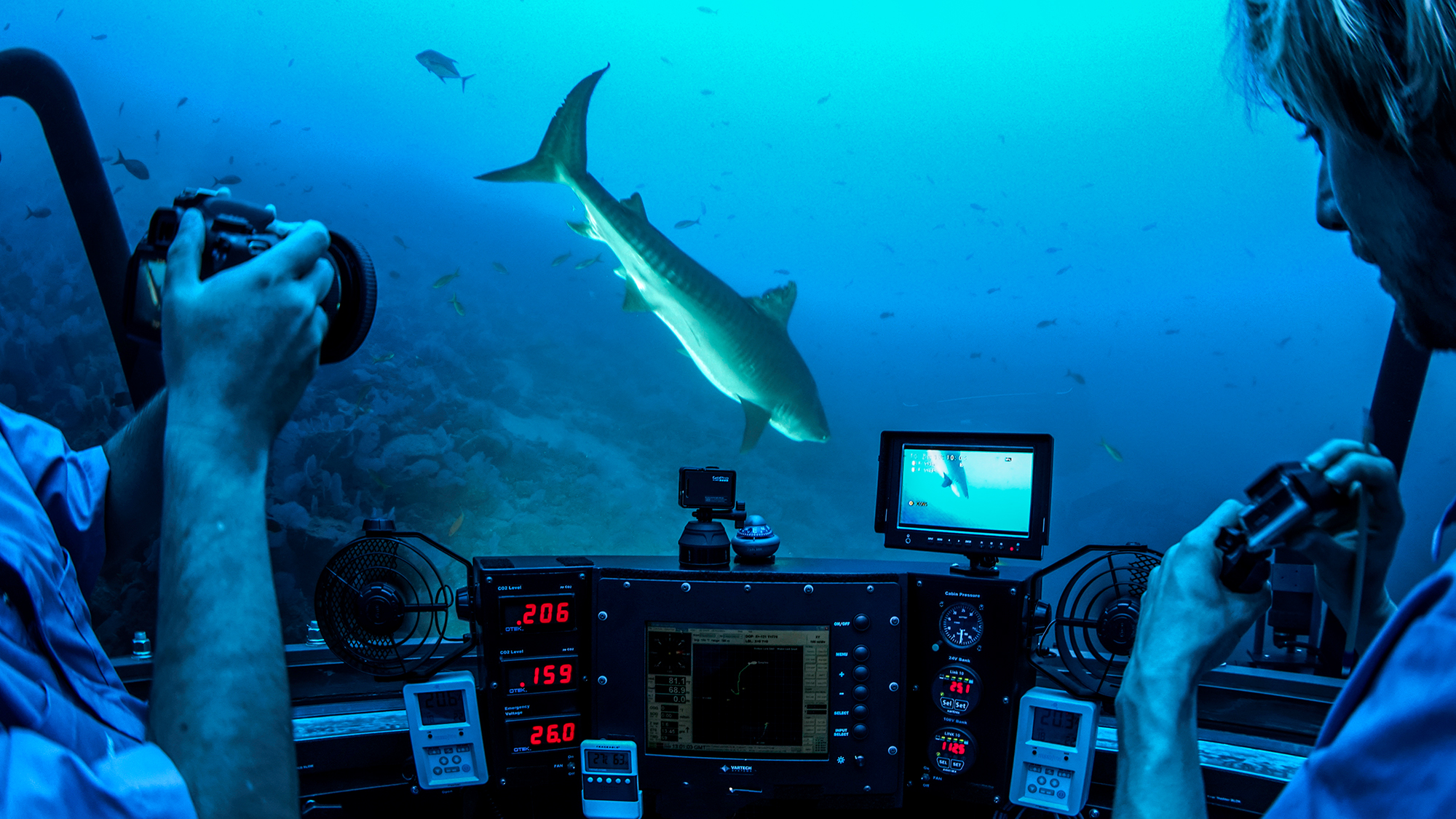A shark seen from the cabin of a submersible