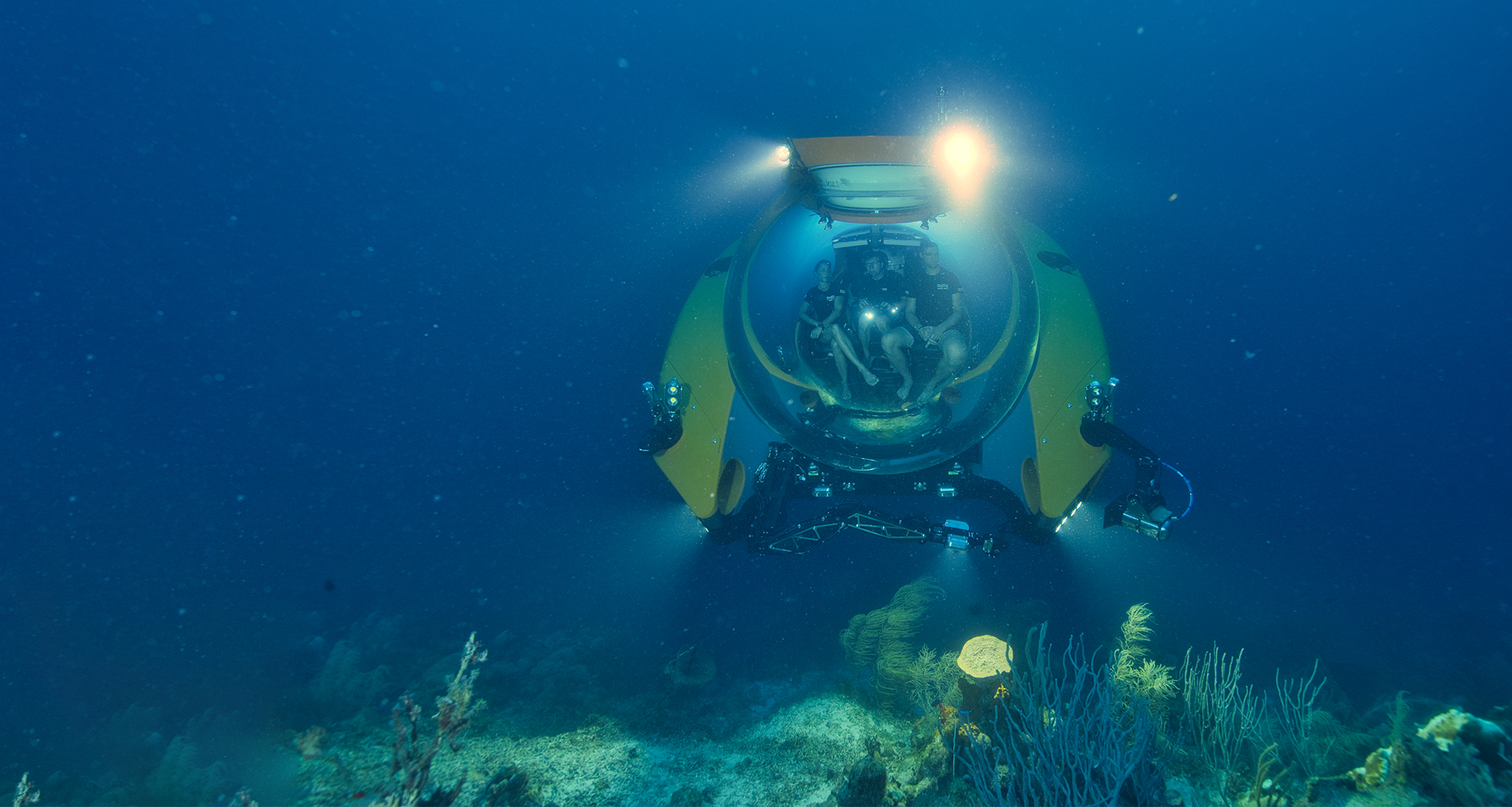 C-Researcher 3 among corals