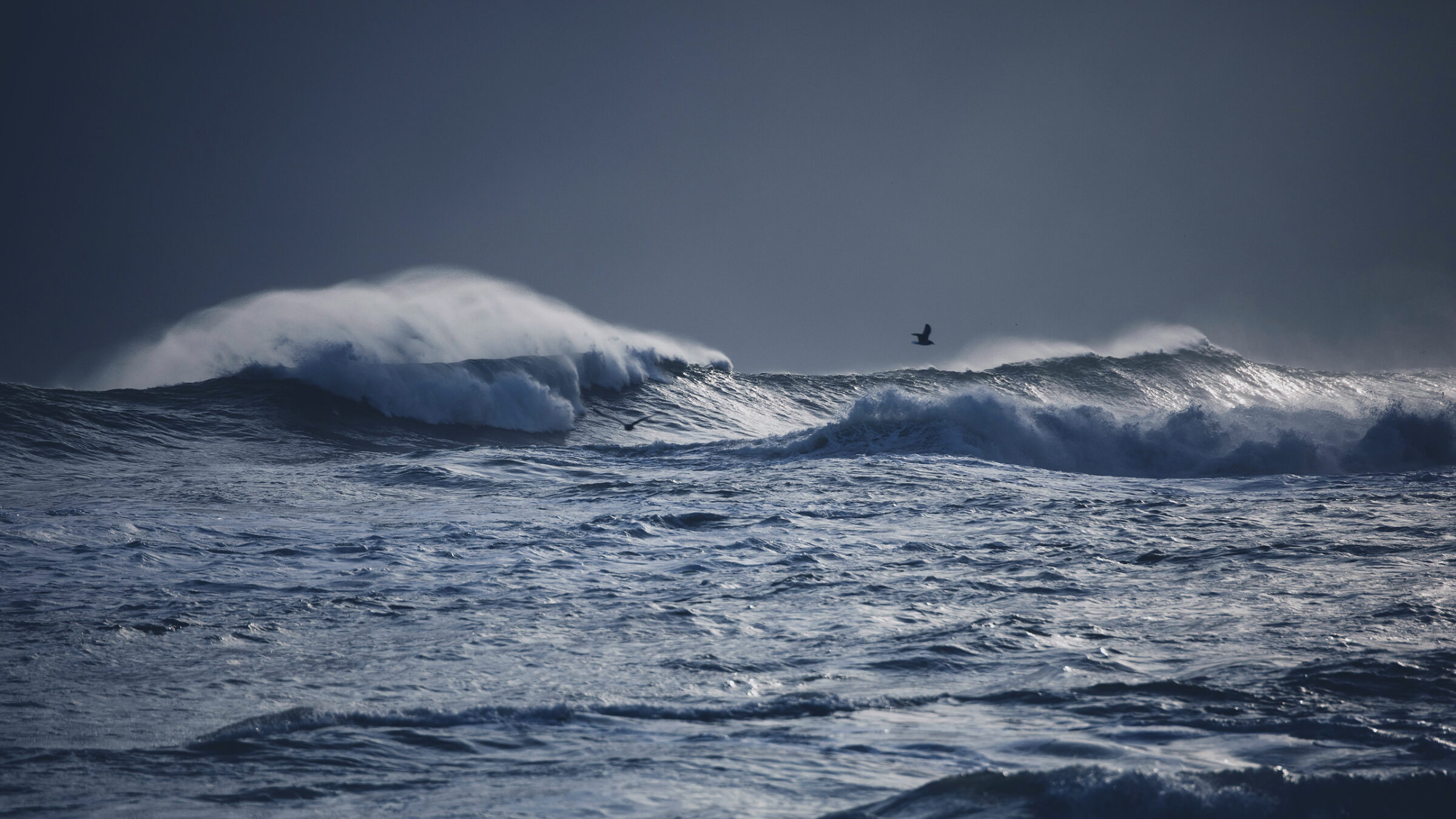 Grandes olas vistas desde el agua con gaviotas sobrevolando